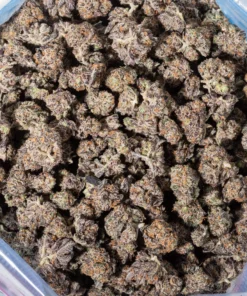 Granddaddy Purple (AAAA/Popcorn)