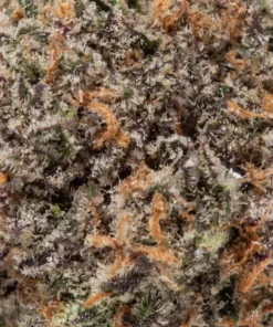 Granddaddy Purple (AAAA/Popcorn)