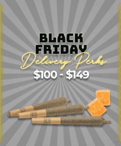 Black Friday Promotions Spend $100 - $149