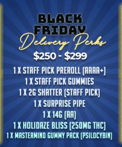 Black Friday Promotions Spend $250 - $299