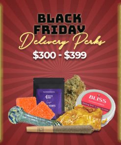 Black Friday Promotions Spend $300 - $399