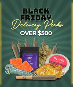 Black Friday Promotions Spend Over $500