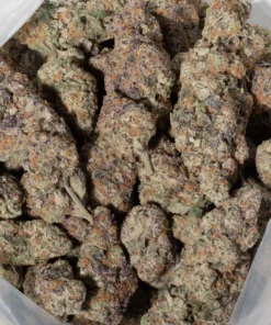 Jelly Donut (AAAAA/Craft)