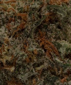 Frosted Fruit Cake (AA/Popcorn)