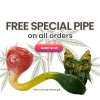 Free Special Pipe on All Orders!