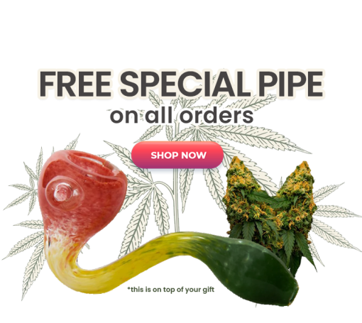 Free Special Pipe on All Orders!