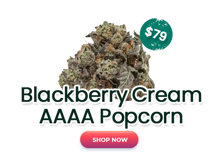 BLACKBERRY CREAM - $79