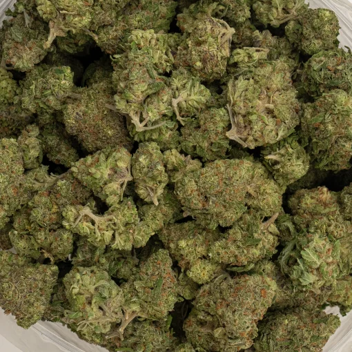Glitter Bomb (AAAA+)