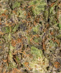 Grape Gelato (AAAA)