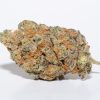 G13 (AA)
