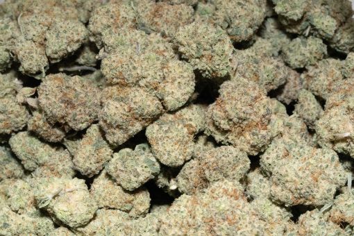 Frosted Fruit Cake (AAAA)