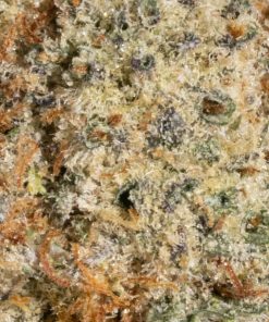 Frosted Fruit Cake (AAAA)