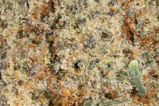 Frosted Fruit Cake (AAAA)