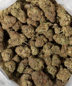 Goudaberry (AAAA+)
