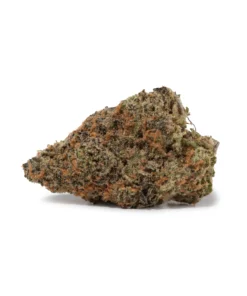 Goudaberry (AAAA+)