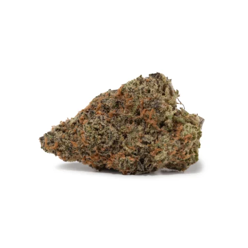 Goudaberry (AAAA+)