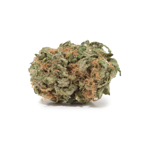 Island Sweet Skunk (AA)