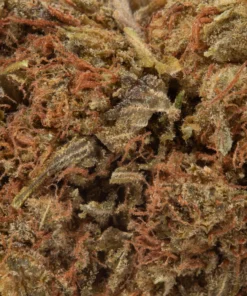 Orange Kush (AA+)