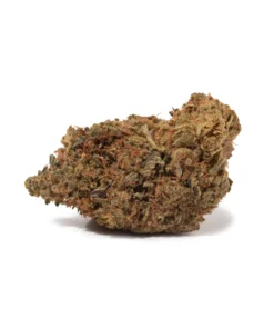 Orange Kush (AA+)