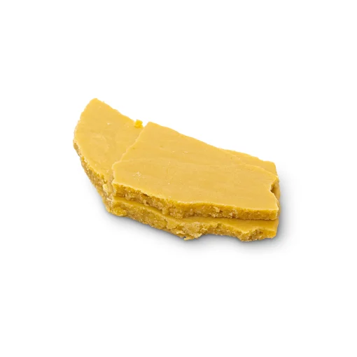 House Budder Space Zooties (Hybrid)