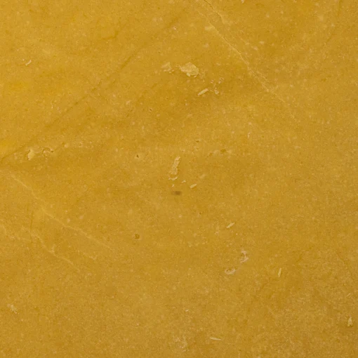 House Budder Space Zooties (Hybrid)