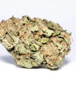 Blueberry Kush (AA/AA+)