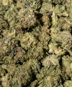 Blueberry Kush (AA/AA+)