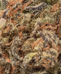 Pink Sunset (AA/AA+)