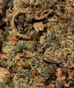 Nebula (AA)