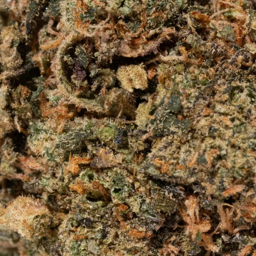 Nebula (AA)