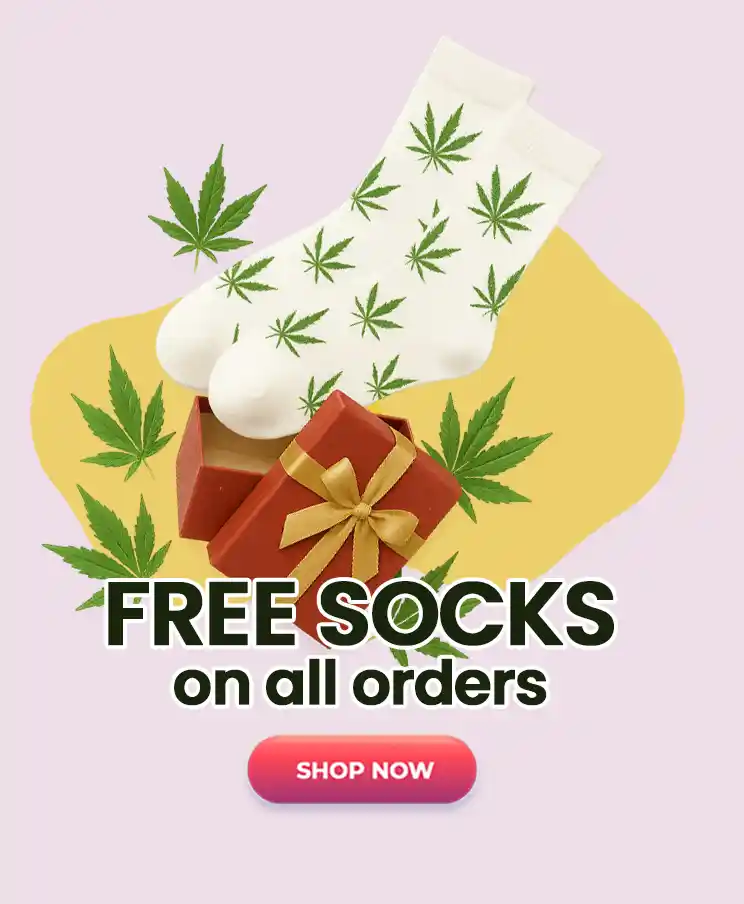 Free Socks on All Orders