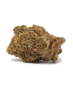 Purple Pancake (AA)