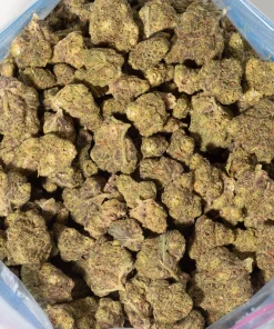 Cactus Breath (AA)