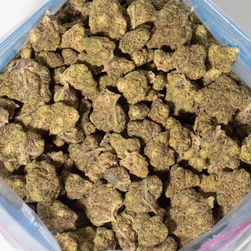 Cactus Breath (AA)