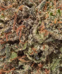 El Padrino (AA)