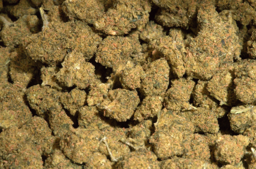 Sour Diesel (AA/AA+)
