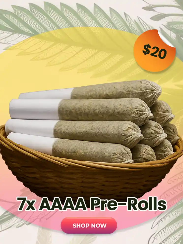 7x AAAA Pre-Rolls for $20