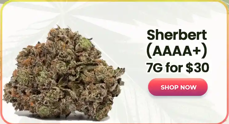 Sherbert (AAAA+) - 7G for $30