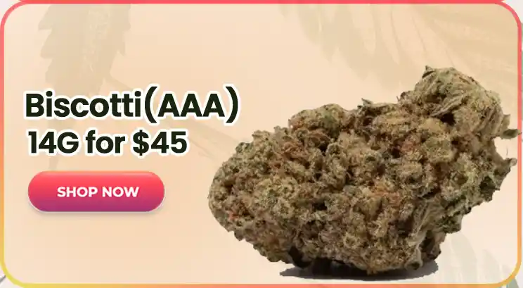 Biscotti (AAA) - 14G for $45