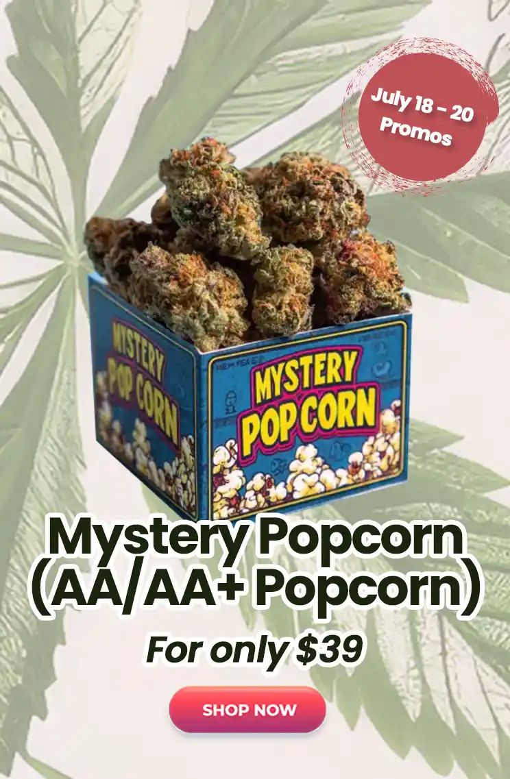 Mystery Popcorn (AA/AA+ Popcorn) - $39