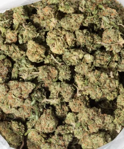 Lemon Berry (AAA)