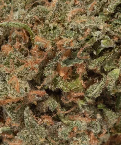 Lemon Berry (AAA)