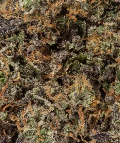 Gelato 42 (AAAAA/Craft)