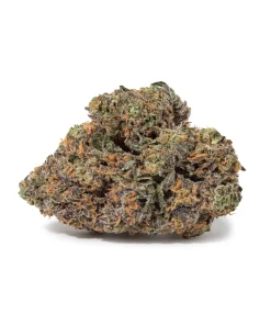 Gelato 42 (AAAAA/Craft)