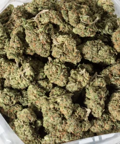 Harlequin (AAA+)