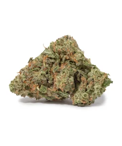 Harlequin (AAA+)