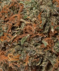 Kings Kush (AA)