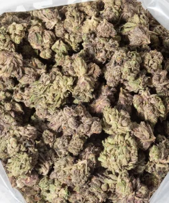 Motor Breath (AAAA/Popcorn)