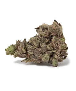Motor Breath (AAAA/Popcorn)