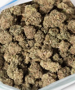 Chocolope (AA)